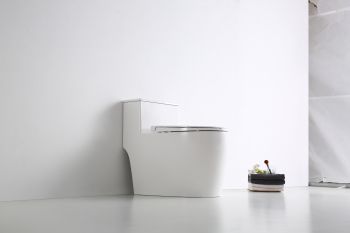 Bồn cầu CV-B107